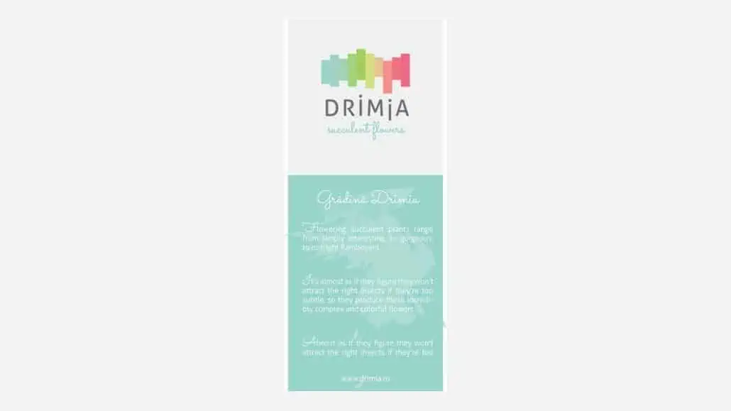 Drimia, brand identity
