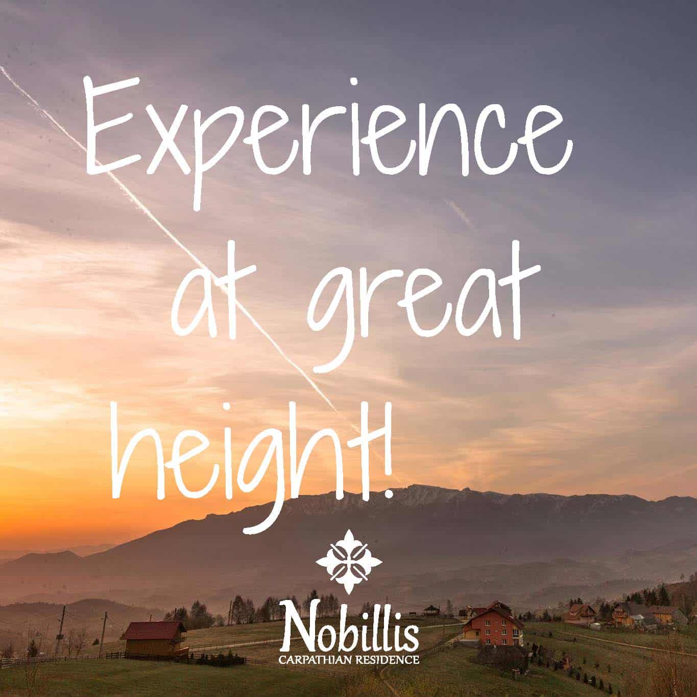 Styling Guide Nobillis, Toud Design Agency, Identity design