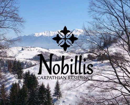 Styling Guide Nobillis, Toud Design Agency, Identity design