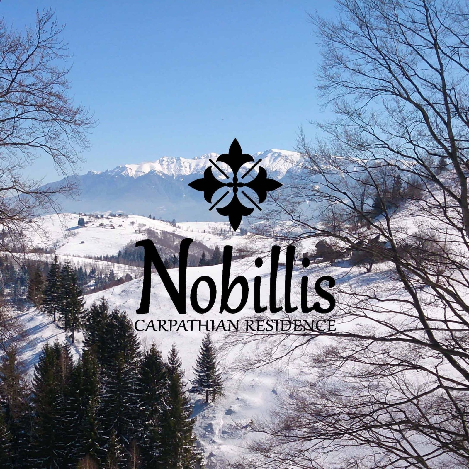 Styling Guide Nobillis, Toud Design Agency, Identity design