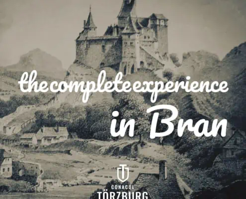 Style Guide Boutique Hotel Bran Torzburg