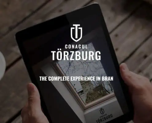 Torzburg strategie de brand hotel identitate vizuala boutique hotel Bran branding horeca Toud
