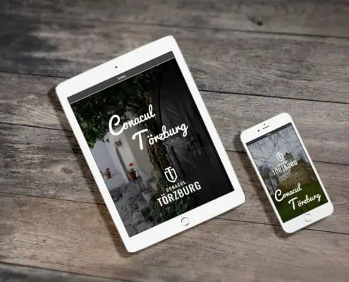 Torzburg strategie de brand hotel identitate vizuala boutique hotel Bran branding horeca Toud