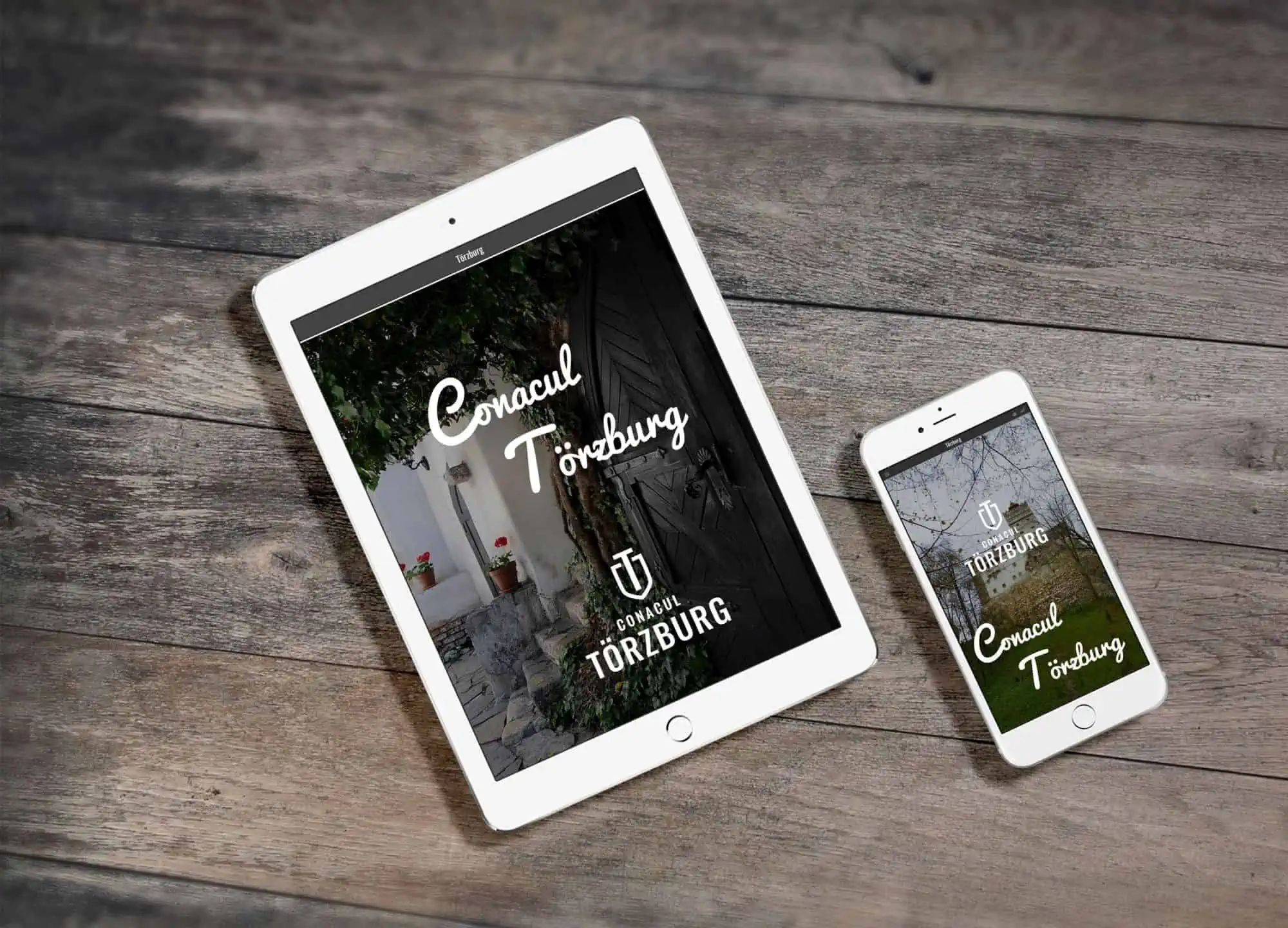 Torzburg strategie de brand hotel identitate vizuala boutique hotel Bran branding horeca Toud