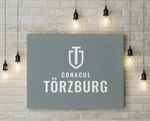 Torzburg strategie de brand hotel identitate vizuala boutique hotel Bran branding horeca Toud