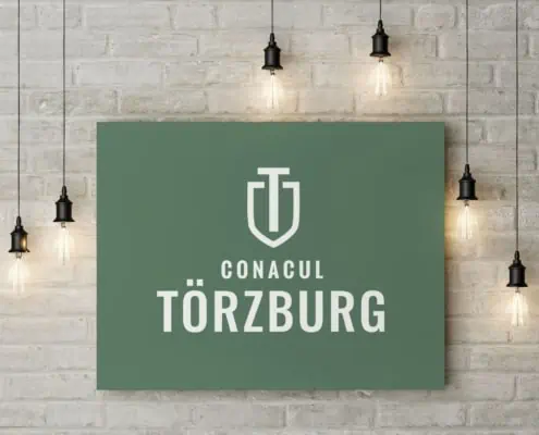 Torzburg strategie de brand hotel identitate vizuala boutique hotel Bran branding horeca Toud