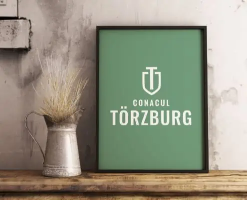 Torzburg strategie de brand hotel identitate vizuala boutique hotel Bran branding horeca Toud