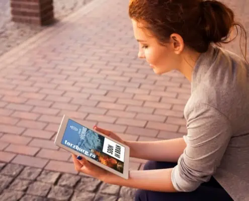 Torzburg strategie de brand hotel identitate vizuala boutique hotel Bran branding horeca Toud