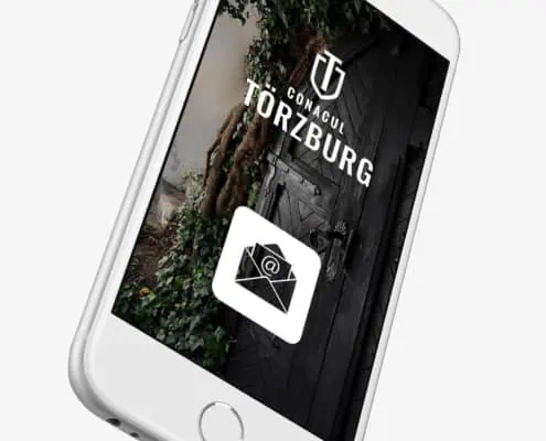 Torzburg strategie de brand hotel identitate vizuala boutique hotel Bran branding horeca Toud