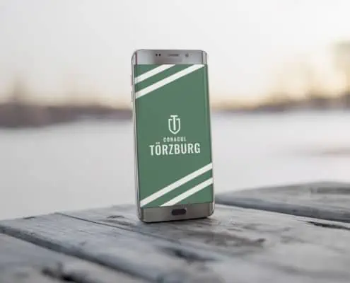 Torzburg strategie de brand hotel identitate vizuala boutique hotel Bran branding horeca Toud