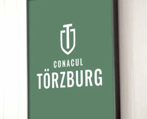 Torzburg strategie de brand hotel identitate vizuala boutique hotel Bran branding horeca Toud