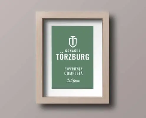 Torzburg strategie de brand hotel identitate vizuala boutique hotel Bran branding horeca Toud