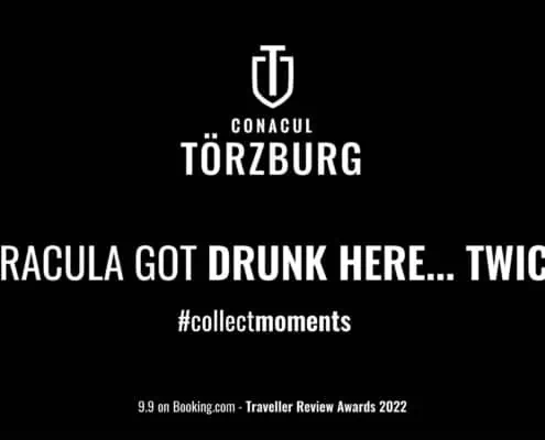 Torzburg strategie de brand hotel identitate vizuala boutique hotel Bran branding horeca Toud