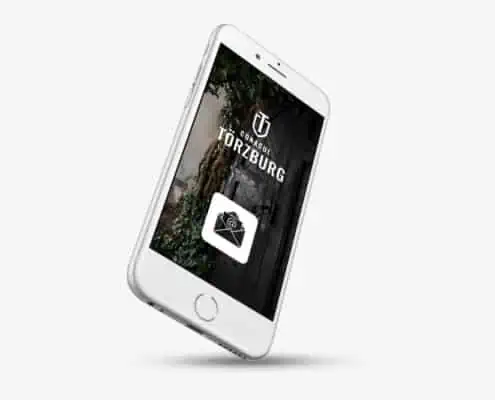 Torzburg strategie de brand hotel identitate vizuala boutique hotel Bran branding horeca Toud