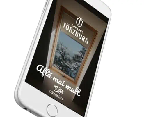 Torzburg strategie de brand hotel identitate vizuala boutique hotel Bran branding horeca Toud