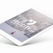 ski, web design, branding, logo