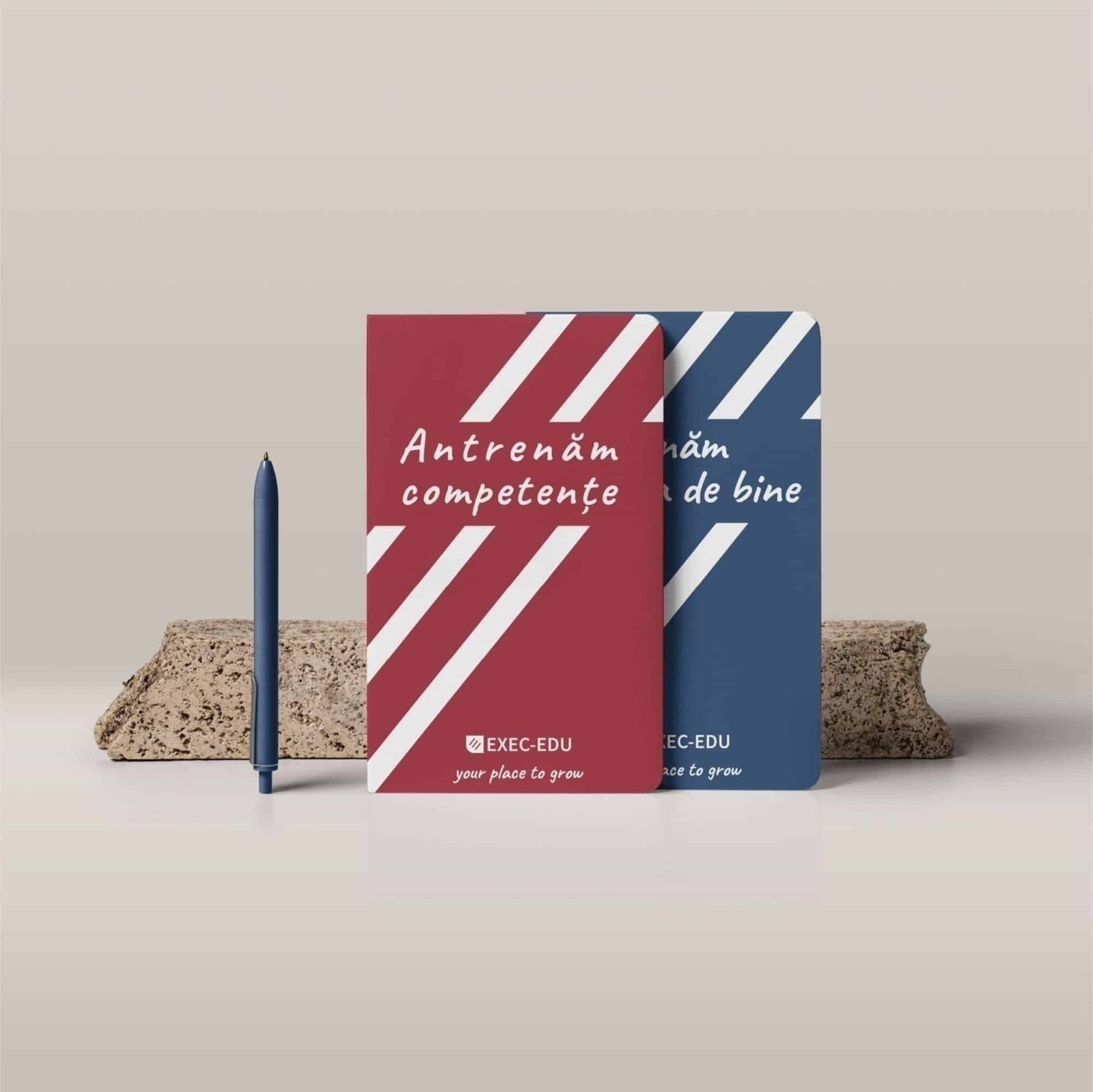 EXEC-EDU, identitate vizuala si website, web design, design, website, identitate vizuala, branding