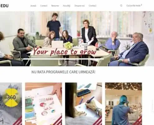 EXEC-EDU, identitate vizuala si website, web design, design, website, identitate vizuala, branding