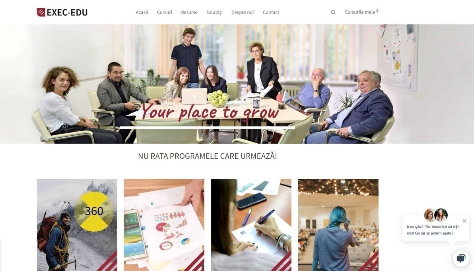 EXEC-EDU, identitate vizuala si website, web design, design, website, identitate vizuala, branding