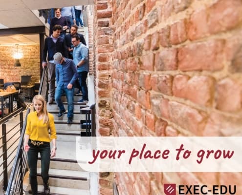 EXEC-EDU, identitate vizuala si website, web design, design, website, identitate vizuala, branding