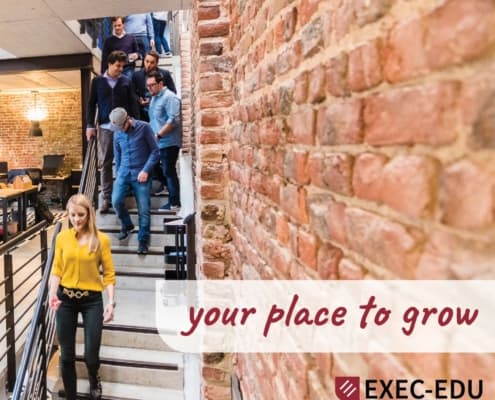 EXEC-EDU, training, formare, your place to grow, brand, branding, branding casa de training
