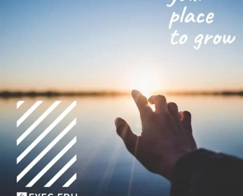 EXEC-EDU, training, formare, your place to grow, brand, branding, branding casa de training