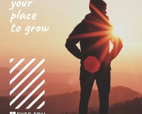 EXEC-EDU, training, formare, your place to grow, brand, branding, branding casa de training