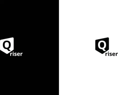 Style Guide Qriser 2020, learning, training, cursuri, formare continua, curs, coach, Toud