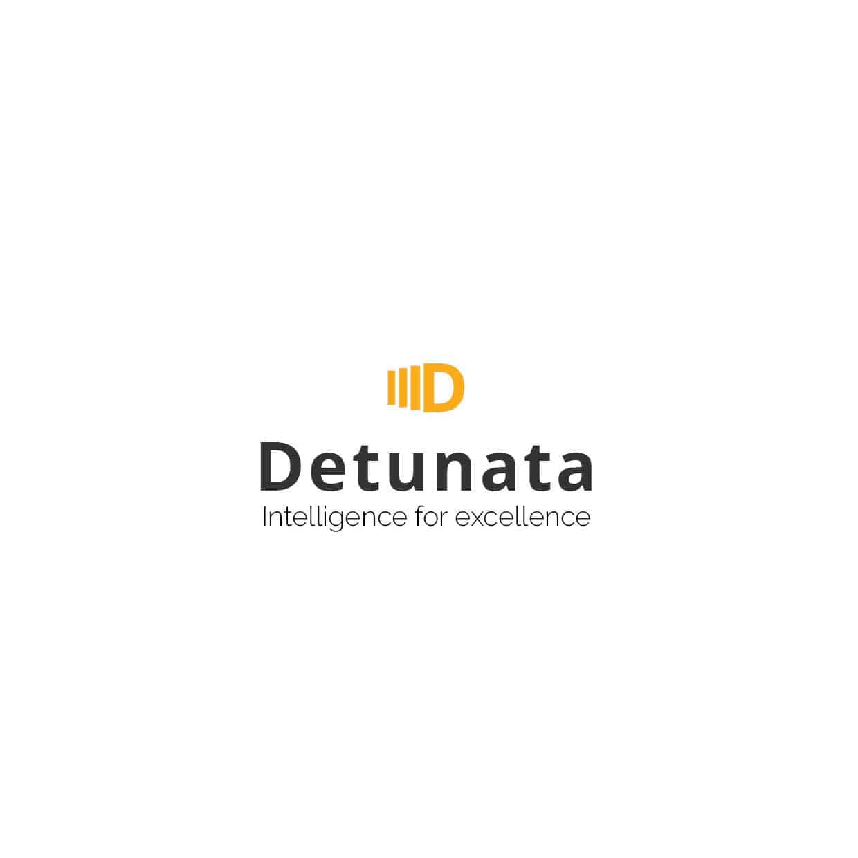 Detunata, design, identitate vizuala, style guide, logo, logo design, branding