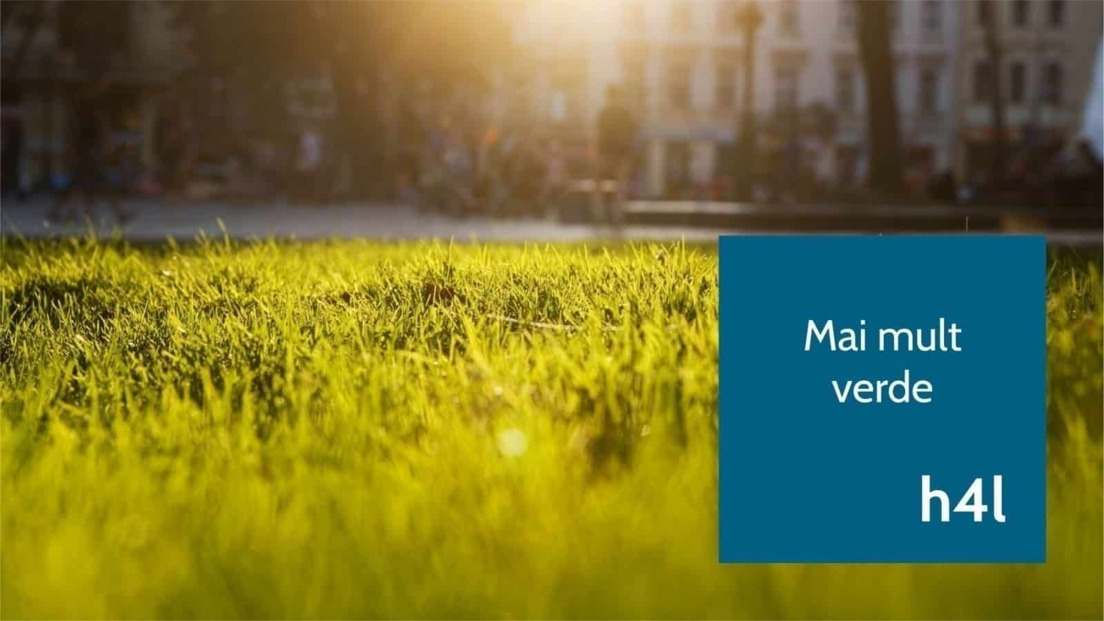 h4l, mai mult verde, design, design grafic, vizual