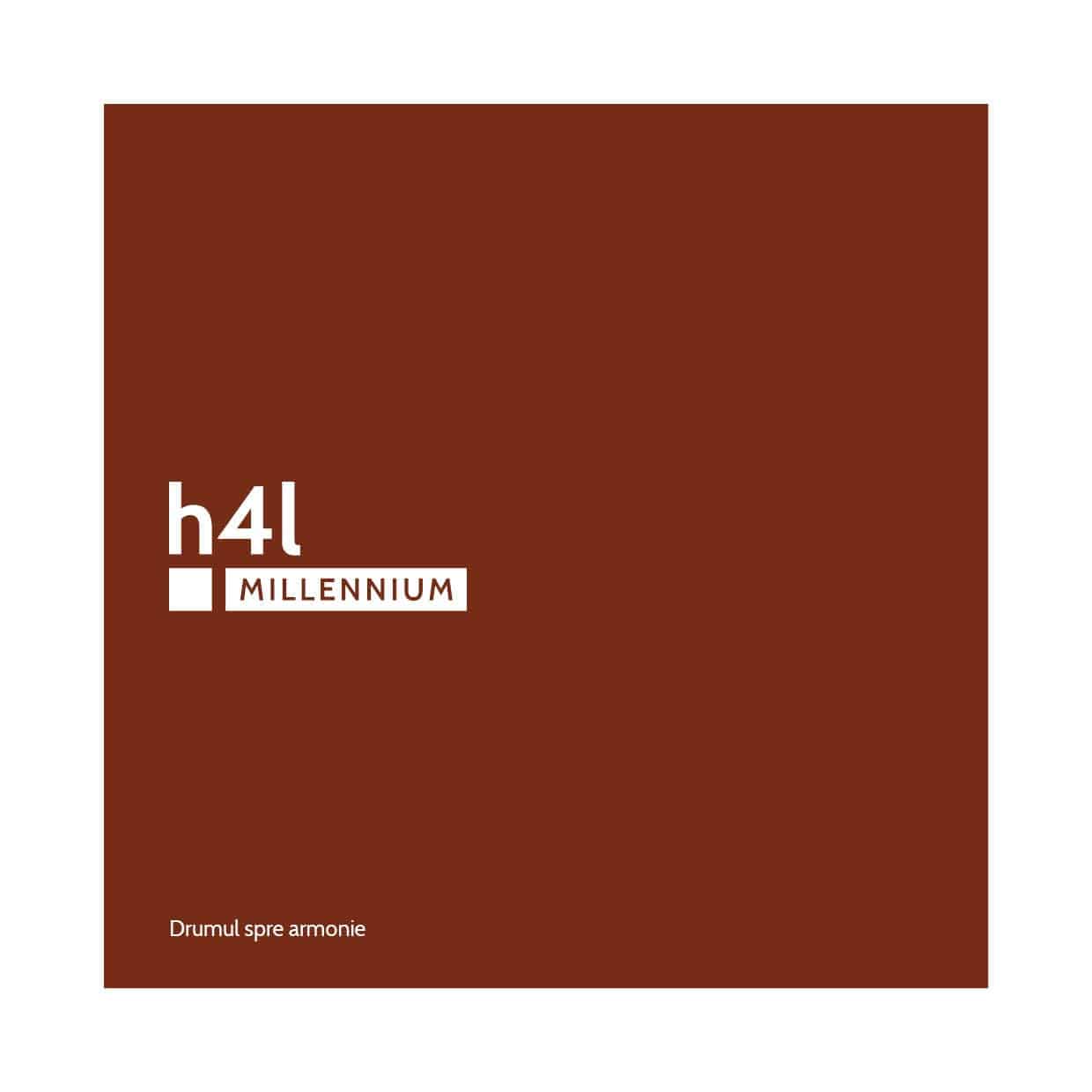 h4l, h4l MILLENNIUM, home 4 life, branding, design