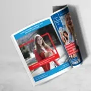 BGF – BURSELE GUVERNULUI FRANCEZ design afis