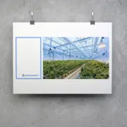 policarbonat.ro - identitate vizuala