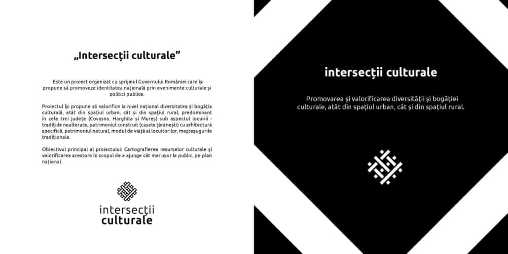 Intersectii culturale identitate vizuala si website pentru promovarea identitatii nationale toud