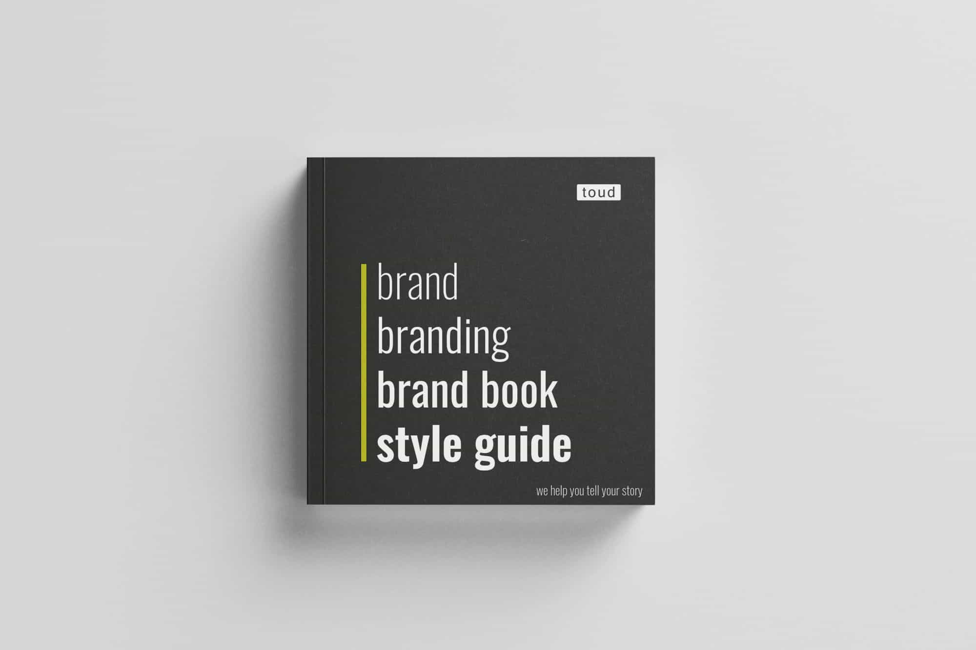 Claritate in comunicare diferenta dintre brand branding style guide si manual de brand Toud