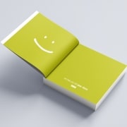 Evitarea greselilor comune in procesul de creare manual de brand, Toud