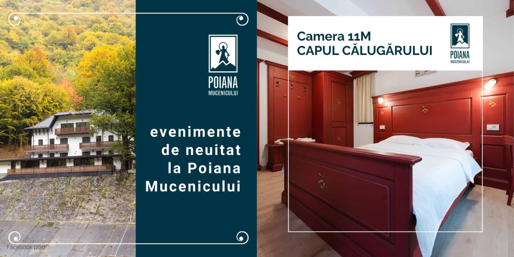 Poiana Mucenicului- identitate vizuala boutique hotel, strategie de brand, branding, logo design, UX design, UI design, Toud, creare site web, web design