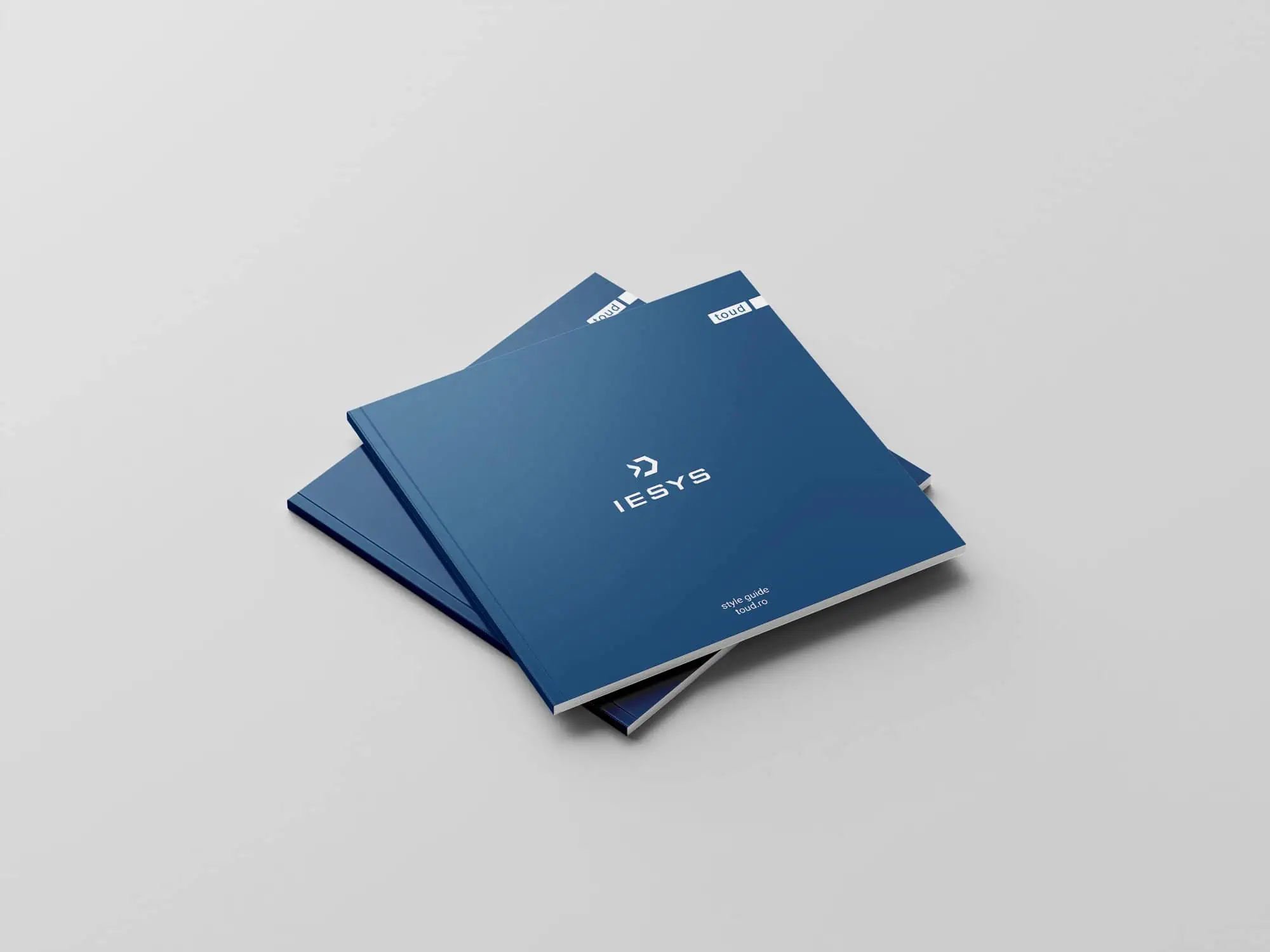 Style guide IESYS, Toud, identitate vizuala, logo design, branding