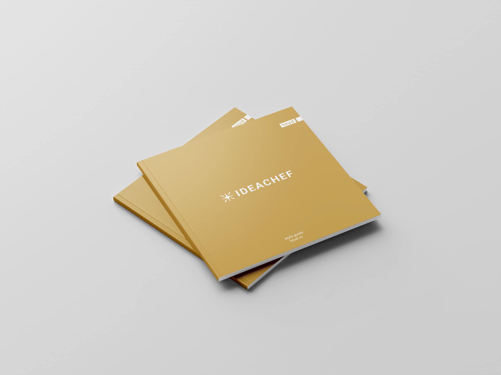 Style guide Ideachef, identitate vizuala, Toud